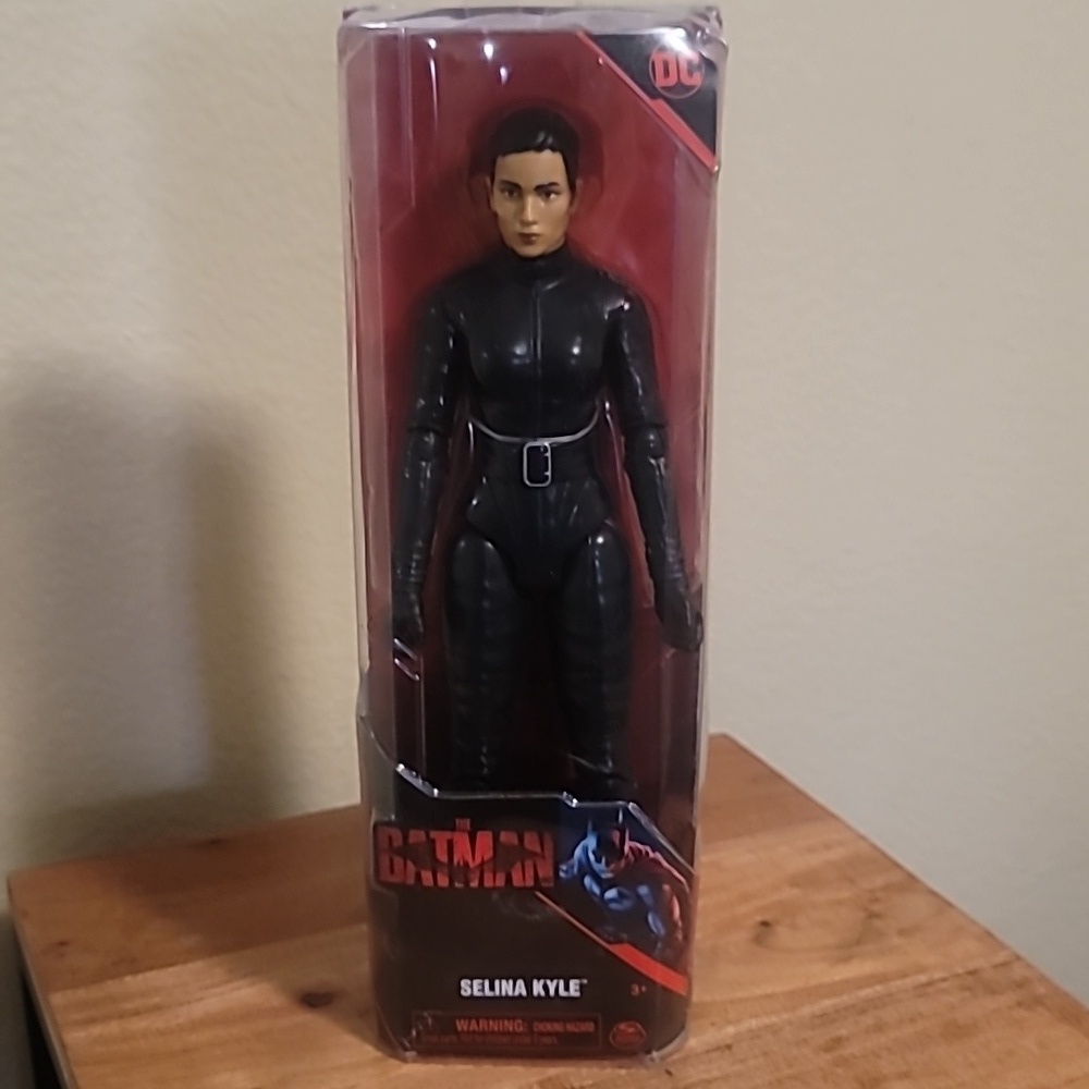 Selina Kyle Catwoman from the Batman movie